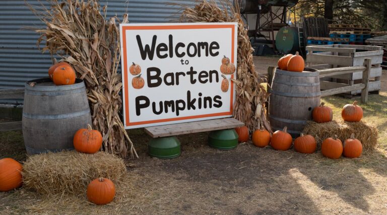 Barten Pumpkins 01 photograph by Bob Tourdot