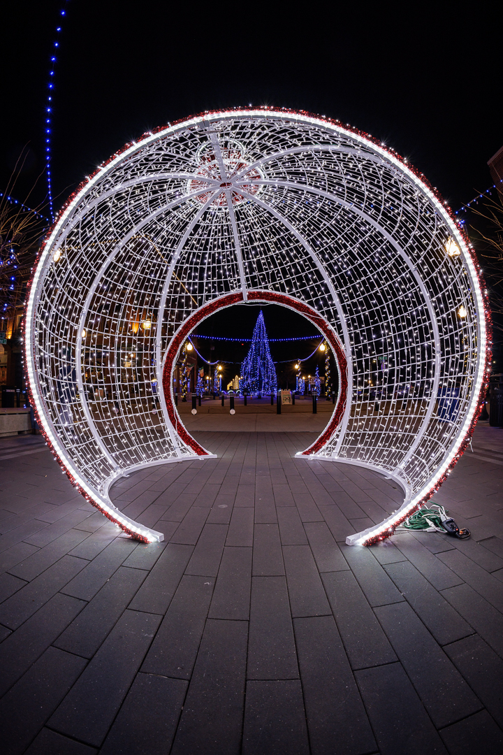 Tree through the ball photograph by Rick Graves